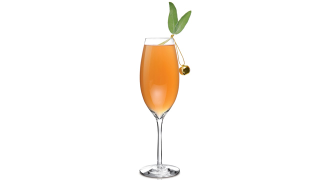 Illustration for article titled 5 Drink Recipes That Will Ensure a Happy New Year